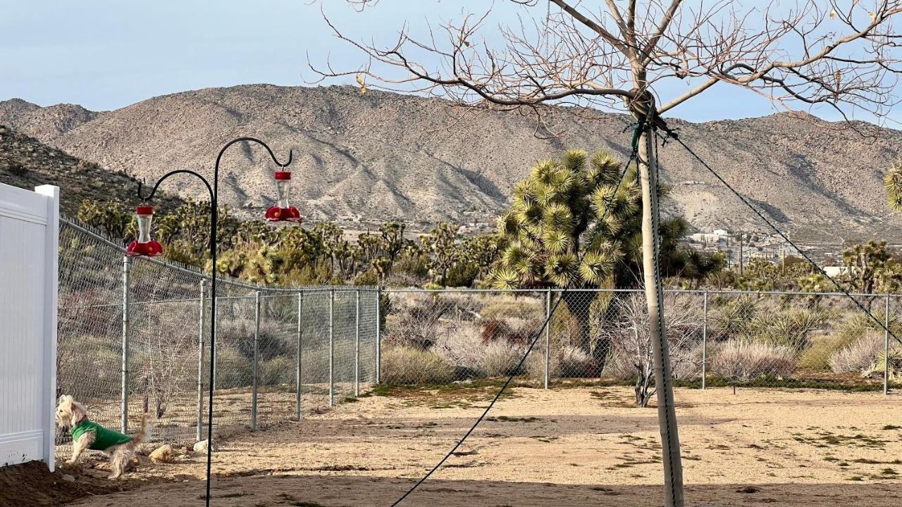 Peaceful Home With Nature Views & Trail Access Yucca Valley Dış mekan fotoğraf