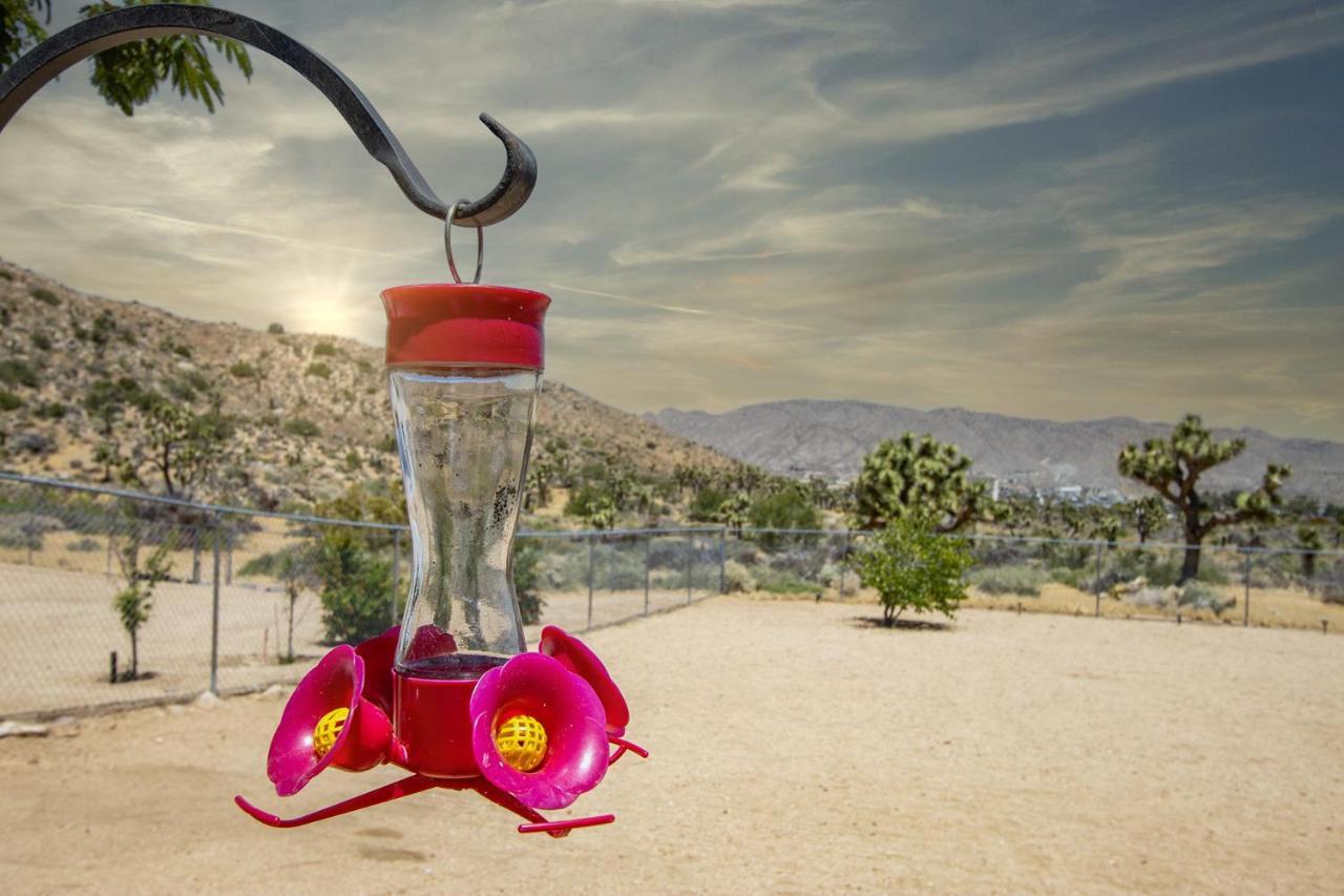 Peaceful Home With Nature Views & Trail Access Yucca Valley Dış mekan fotoğraf